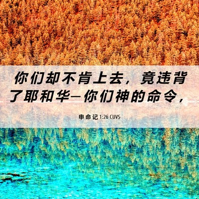 Picture 06 - 申 命 记 1:26 CUVS - 你 们 却 不 肯 上 去 ， 竟 违 背 了 - Bible Verse Picture