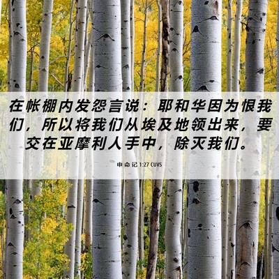 Picture 06 - 申 命 记 1:27 CUVS - 在 帐 棚 内 发 怨 言 说 ： 耶 和 华 - Bible Verse Picture