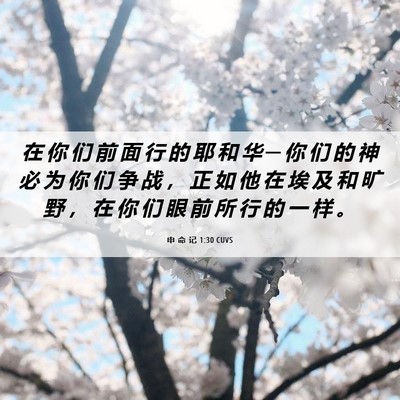 Picture 06 - 申 命 记 1:30 CUVS - 在 你 们 前 面 行 的 耶 和 华 ─ 你 - Bible Verse Picture