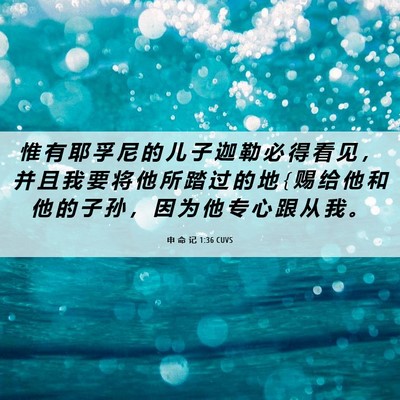 Picture 06 - 申 命 记 1:36 CUVS - 惟 有 耶 孚 尼 的 儿 子 迦 勒 必 得 - Bible Verse Picture
