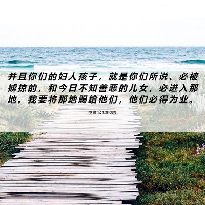 Picture 06 - 申 命 记 1:39 CUVS - 并 且 你 们 的 妇 人 孩 子 ， 就 是 - Bible Verse Picture