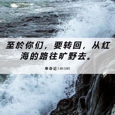 Picture 06 - 申 命 记 1:40 CUVS - 至 於 你 们 ， 要 转 回 ， 从 红 海 - Bible Verse Picture
