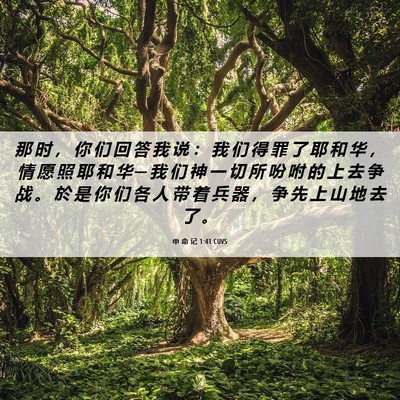 Picture 06 - 申 命 记 1:41 CUVS - 那 时 ， 你 们 回 答 我 说 ： 我 们 - Bible Verse Picture
