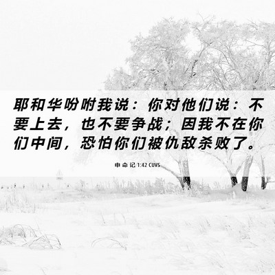 Picture 06 - 申 命 记 1:42 CUVS - 耶 和 华 吩 咐 我 说 ： 你 对 他 们 - Bible Verse Picture