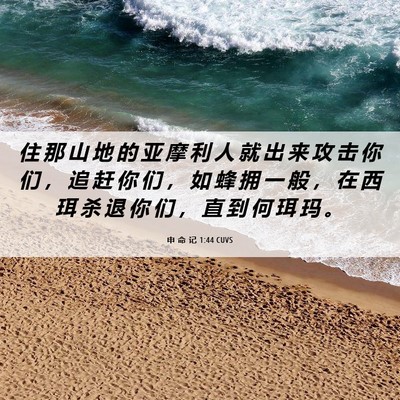 Picture 06 - 申 命 记 1:44 CUVS - 住 那 山 地 的 亚 摩 利 人 就 出 来 - Bible Verse Picture