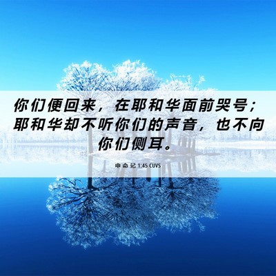 Picture 06 - 申 命 记 1:45 CUVS - 你 们 便 回 来 ， 在 耶 和 华 面 前 - Bible Verse Picture