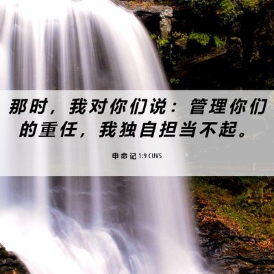 Picture 06 - 申 命 记 1:9 CUVS - 那 时 ， 我 对 你 们 说 ： 管 理 你 - Bible Verse Picture