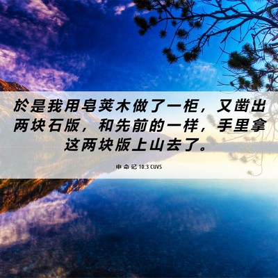 Picture 06 - 申 命 记 10:3 CUVS - 於 是 我 用 皂 荚 木 做 了 一 柜 ， - Bible Verse Picture