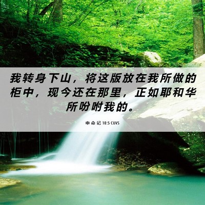 Picture 06 - 申 命 记 10:5 CUVS - 我 转 身 下 山 ， 将 这 版 放 在 我 - Bible Verse Picture