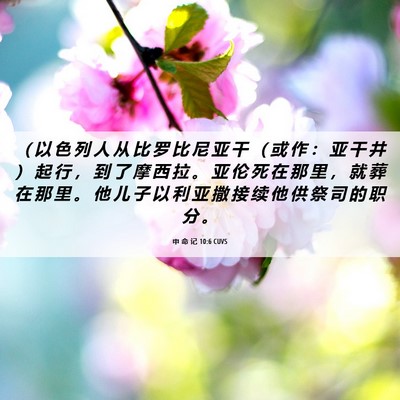 Picture 06 - 申 命 记 10:6 CUVS - （ 以 色 列 人 从 比 罗 比 尼 亚 干 - Bible Verse Picture