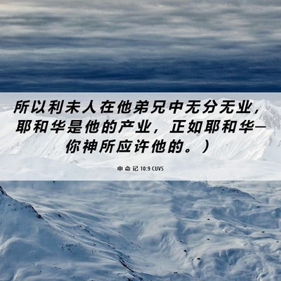 Picture 06 - 申 命 记 10:9 CUVS - 所 以 利 未 人 在 他 弟 兄 中 无 分 - Bible Verse Picture