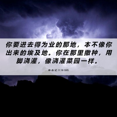 Picture 06 - 申 命 记 11:10 CUVS - 你 要 进 去 得 为 业 的 那 地 ， 本 - Bible Verse Picture