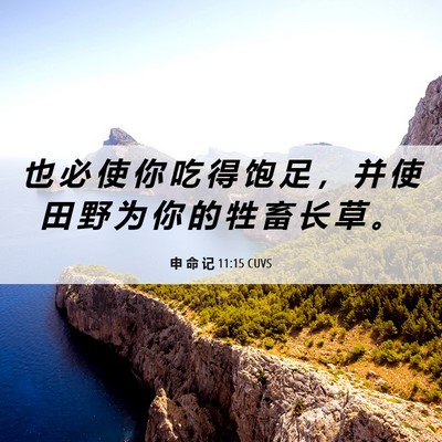 Picture 06 - 申 命 记 11:15 CUVS - 也 必 使 你 吃 得 饱 足 ， 并 使 田 - Bible Verse Picture
