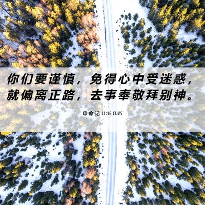 Picture 06 - 申 命 记 11:16 CUVS - 你 们 要 谨 慎 ， 免 得 心 中 受 迷 - Bible Verse Picture