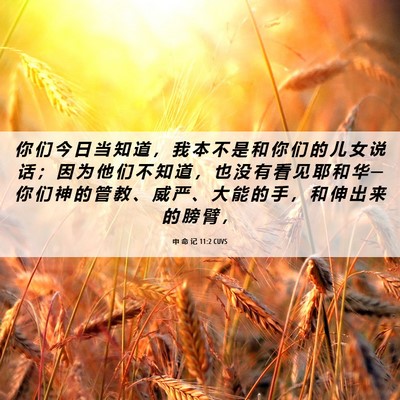 Picture 06 - 申 命 记 11:2 CUVS - 你 们 今 日 当 知 道 ， 我 本 不 是 - Bible Verse Picture