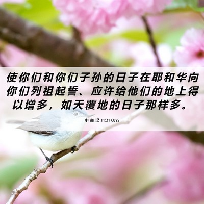 Picture 06 - 申 命 记 11:21 CUVS - 使 你 们 和 你 们 子 孙 的 日 子 在 - Bible Verse Picture