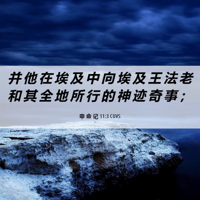 Picture 06 - 申 命 记 11:3 CUVS - 并 他 在 埃 及 中 向 埃 及 王 法 老 - Bible Verse Picture