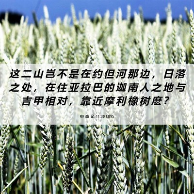 Picture 06 - 申 命 记 11:30 CUVS - 这 二 山 岂 不 是 在 约 但 河 那 边 - Bible Verse Picture