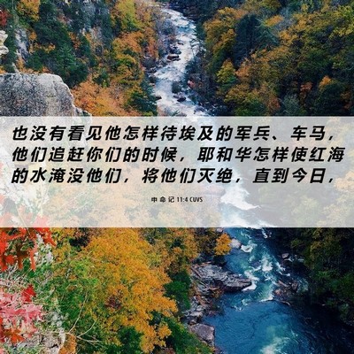 Picture 06 - 申 命 记 11:4 CUVS - 也 没 有 看 见 他 怎 样 待 埃 及 的 - Bible Verse Picture