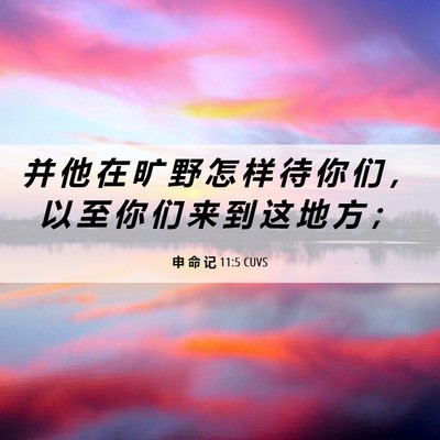 Picture 06 - 申 命 记 11:5 CUVS - 并 他 在 旷 野 怎 样 待 你 们 ， 以 - Bible Verse Picture