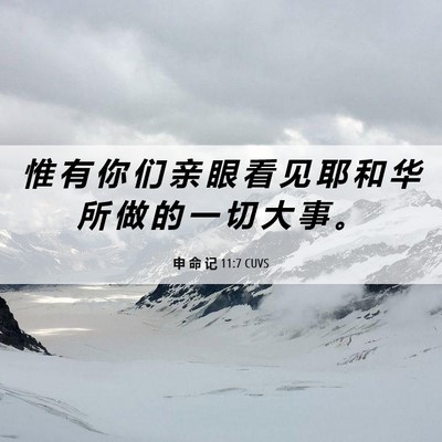 Picture 06 - 申 命 记 11:7 CUVS - 惟 有 你 们 亲 眼 看 见 耶 和 华 所 - Bible Verse Picture