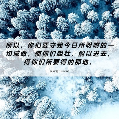 Picture 06 - 申 命 记 11:8 CUVS - 所 以 ， 你 们 要 守 我 今 日 所 吩 - Bible Verse Picture
