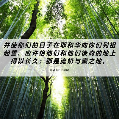 Picture 06 - 申 命 记 11:9 CUVS - 并 使 你 们 的 日 子 在 耶 和 华 向 - Bible Verse Picture