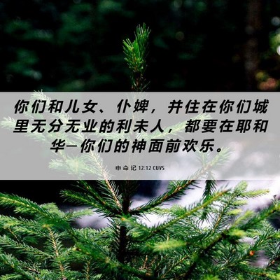 Picture 06 - 申 命 记 12:12 CUVS - 你 们 和 儿 女 、 仆 婢 ， 并 住 在 - Bible Verse Picture