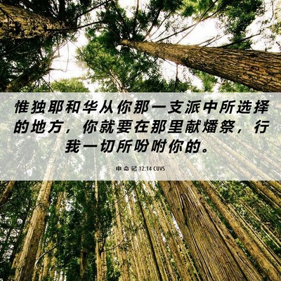 Picture 06 - 申 命 记 12:14 CUVS - 惟 独 耶 和 华 从 你 那 一 支 派 中 - Bible Verse Picture