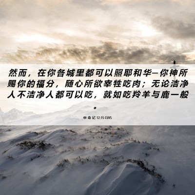 Picture 06 - 申 命 记 12:15 CUVS - 然 而 ， 在 你 各 城 里 都 可 以 照 - Bible Verse Picture