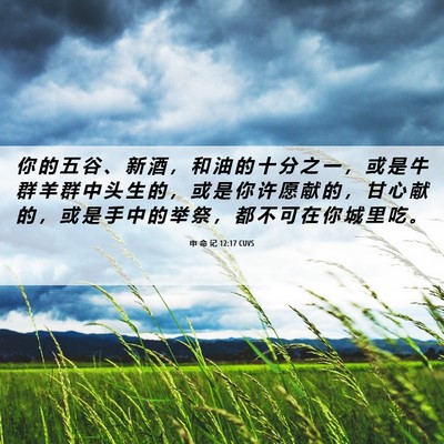 Picture 06 - 申 命 记 12:17 CUVS - 你 的 五 谷 、 新 酒 ， 和 油 的 十 - Bible Verse Picture
