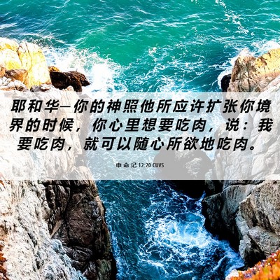Picture 06 - 申 命 记 12:20 CUVS - 耶 和 华 ─ 你 的 神 照 他 所 应 许 - Bible Verse Picture