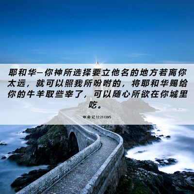 Picture 06 - 申 命 记 12:21 CUVS - 耶 和 华 ─ 你 神 所 选 择 要 立 他 - Bible Verse Picture