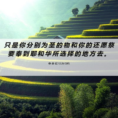 Picture 06 - 申 命 记 12:26 CUVS - 只 是 你 分 别 为 圣 的 物 和 你 的 - Bible Verse Picture