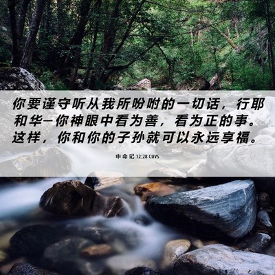 Picture 06 - 申 命 记 12:28 CUVS - 你 要 谨 守 听 从 我 所 吩 咐 的 一 - Bible Verse Picture