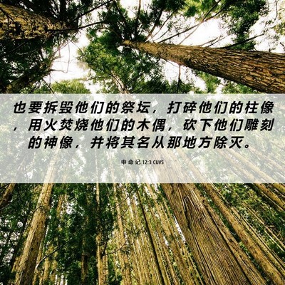 Picture 06 - 申 命 记 12:3 CUVS - 也 要 拆 毁 他 们 的 祭 坛 ， 打 碎 - Bible Verse Picture