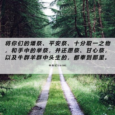 Picture 06 - 申 命 记 12:6 CUVS - 将 你 们 的 燔 祭 、 平 安 祭 、 十 - Bible Verse Picture