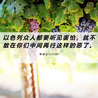 Picture 06 - 申 命 记 13:11 CUVS - 以 色 列 众 人 都 要 听 见 害 怕 ， - Bible Verse Picture