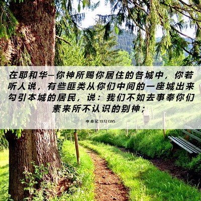 Picture 06 - 申 命 记 13:12 CUVS - 在 耶 和 华 ─ 你 神 所 赐 你 居 住 - Bible Verse Picture