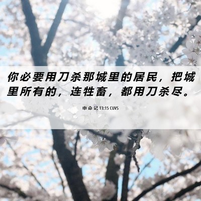 Picture 06 - 申 命 记 13:15 CUVS - 你 必 要 用 刀 杀 那 城 里 的 居 民 - Bible Verse Picture