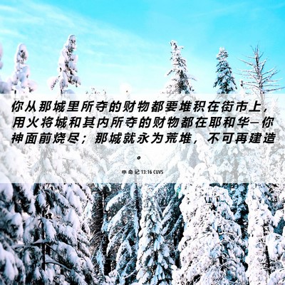 Picture 06 - 申 命 记 13:16 CUVS - 你 从 那 城 里 所 夺 的 财 物 都 要 - Bible Verse Picture