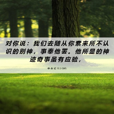 Picture 06 - 申 命 记 13:2 CUVS - 对 你 说 ： 我 们 去 随 从 你 素 来 - Bible Verse Picture