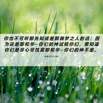 Picture 06 - 申 命 记 13:3 CUVS - 你 也 不 可 听 那 先 知 或 是 那 做 - Bible Verse Picture