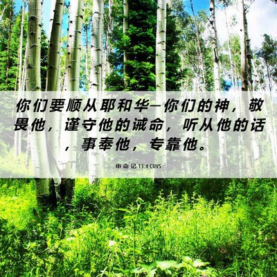 Picture 06 - 申 命 记 13:4 CUVS - 你 们 要 顺 从 耶 和 华 ─ 你 们 的 - Bible Verse Picture