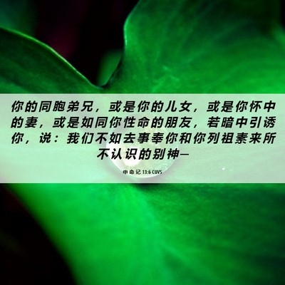 Picture 06 - 申 命 记 13:6 CUVS - 你 的 同 胞 弟 兄 ， 或 是 你 的 儿 - Bible Verse Picture