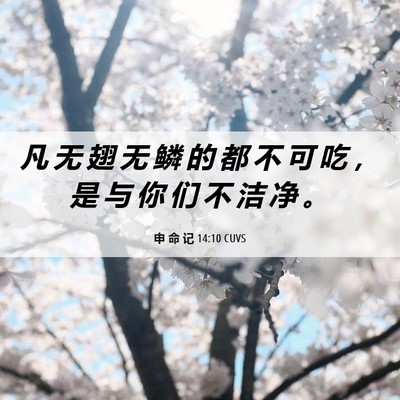 Picture 06 - 申 命 记 14:10 CUVS - 凡 无 翅 无 鳞 的 都 不 可 吃 ， 是 - Bible Verse Picture