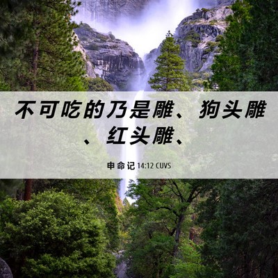 Picture 06 - 申 命 记 14:12 CUVS - 不 可 吃 的 乃 是 雕 、 狗 头 雕 、 - Bible Verse Picture