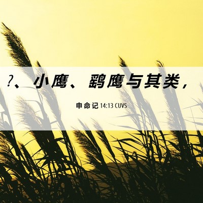 Picture 06 - 申 命 记 14:13 CUVS - ? 、 小 鹰 、 鹞 鹰 与 其 类 - Bible Verse Picture