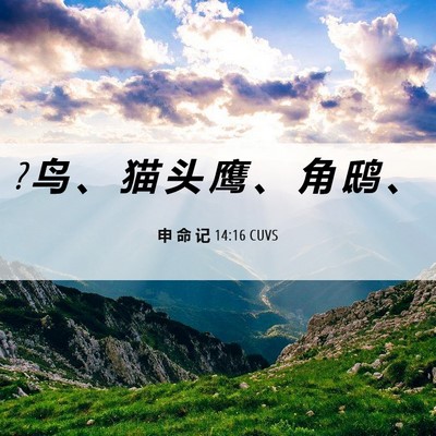 Picture 06 - 申 命 记 14:16 CUVS - ? 鸟 、 猫 头 鹰 、 角 鸱 - Bible Verse Picture