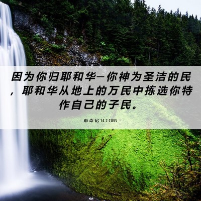 Picture 06 - 申 命 记 14:2 CUVS - 因 为 你 归 耶 和 华 ─ 你 神 为 圣 - Bible Verse Picture